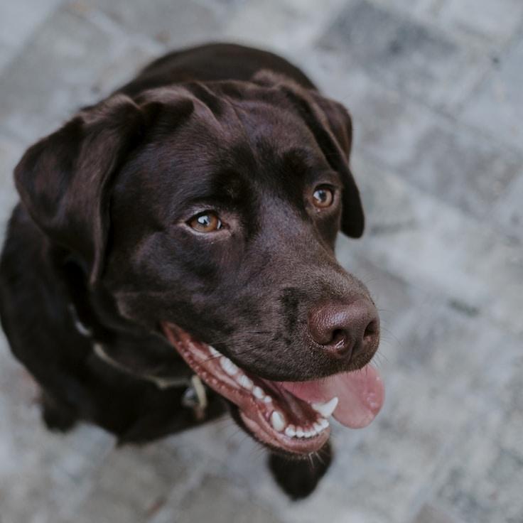 Morgan Chen, Client Relations Director, discussing corporate gifting strategy with business clients